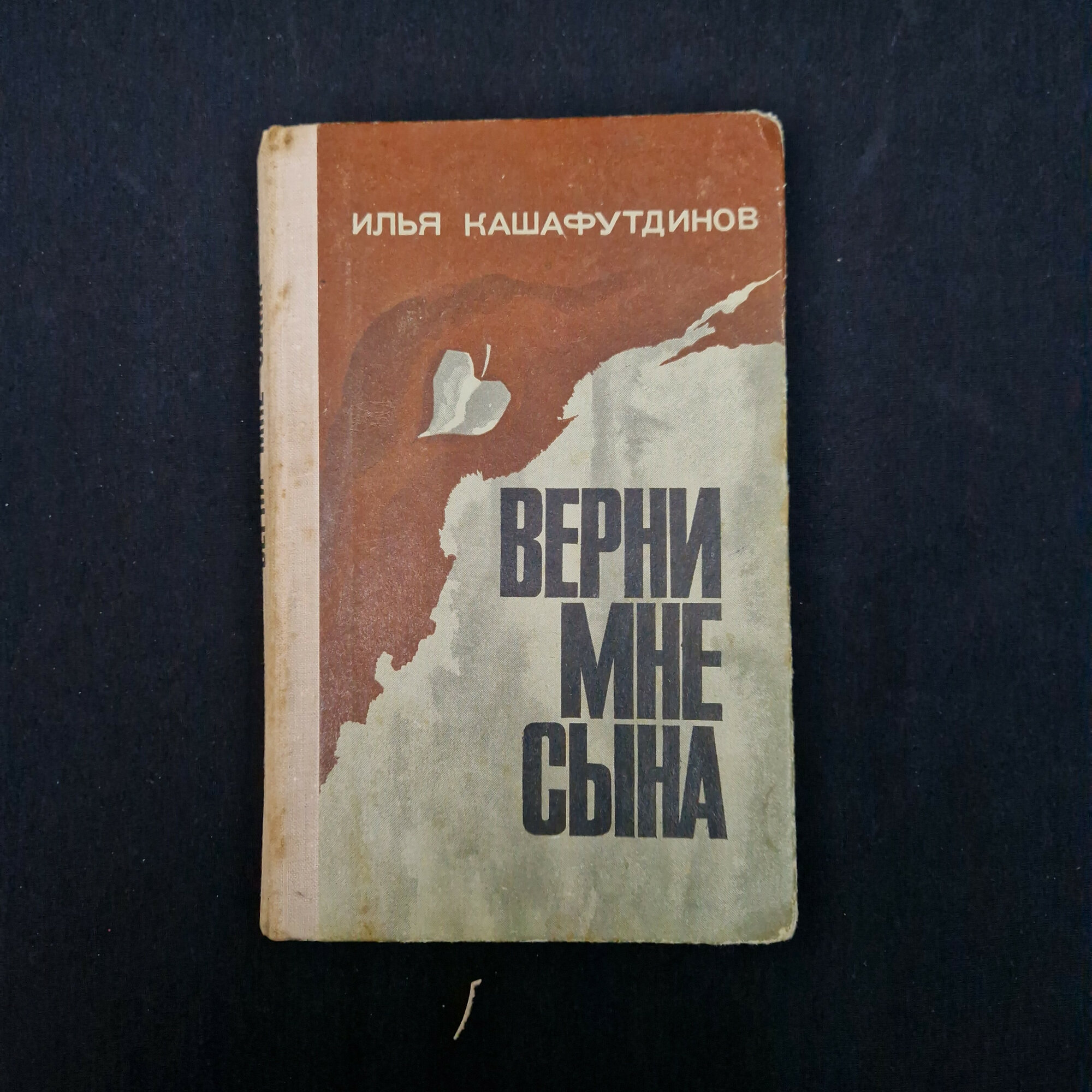 Илья Кашафутдинов. Верни мне сына. Книга СССР, рассказы и повести