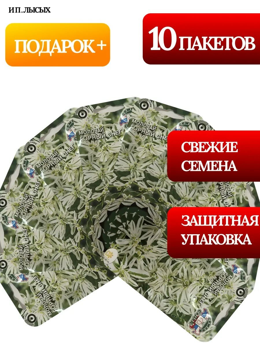 Семена Молочай "Горный Снег"
