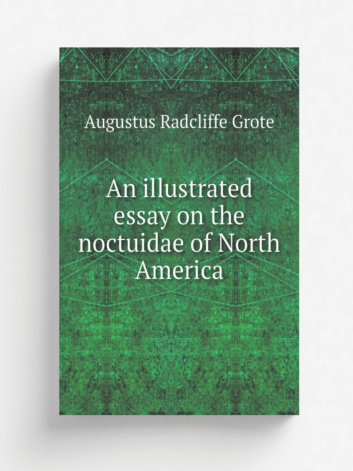 An illustrated essay on the noctuidae of North America | Augustus Radcliffe Grote | 1882 | Репринт