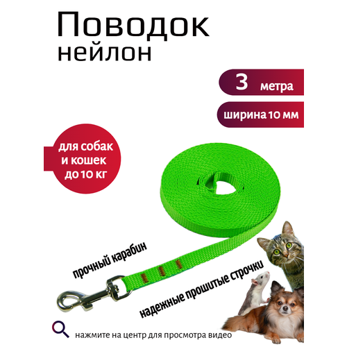 фото Поводок хвостатыч с карабином нейлон для мелких пород 3 м х 10 мм (салатовый)