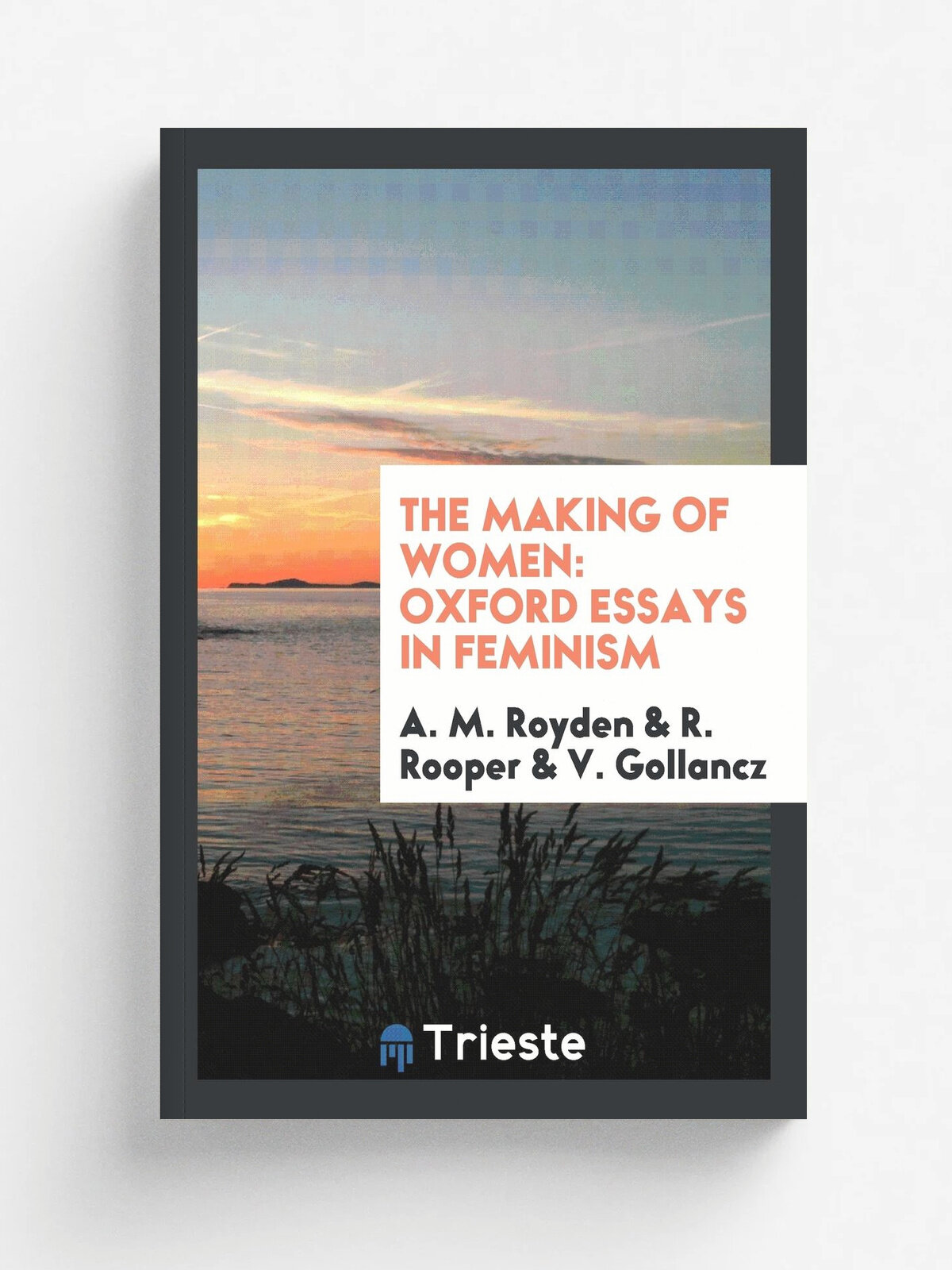 The Making of Women. Oxford Essays in Feminism