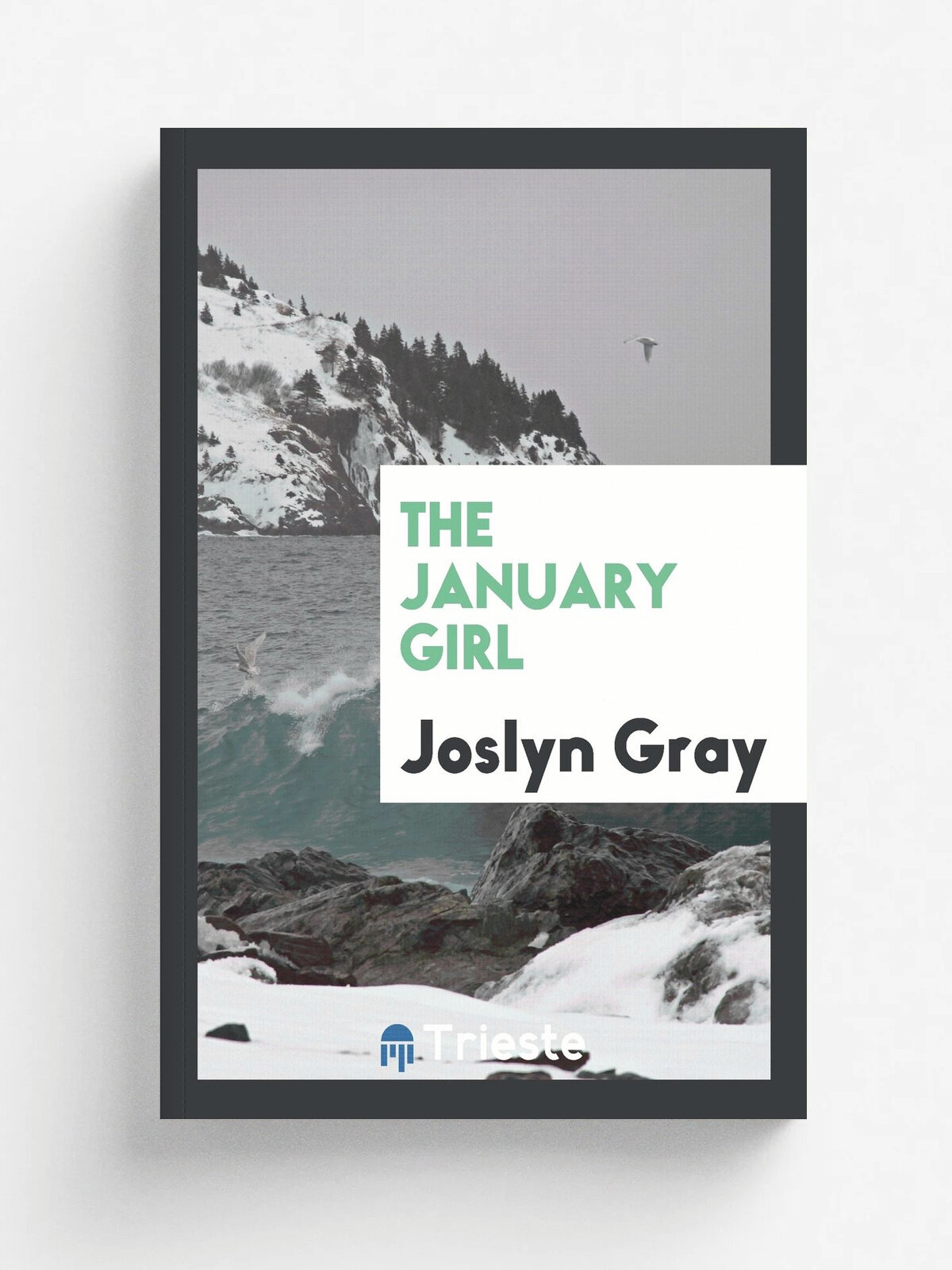The January Girl