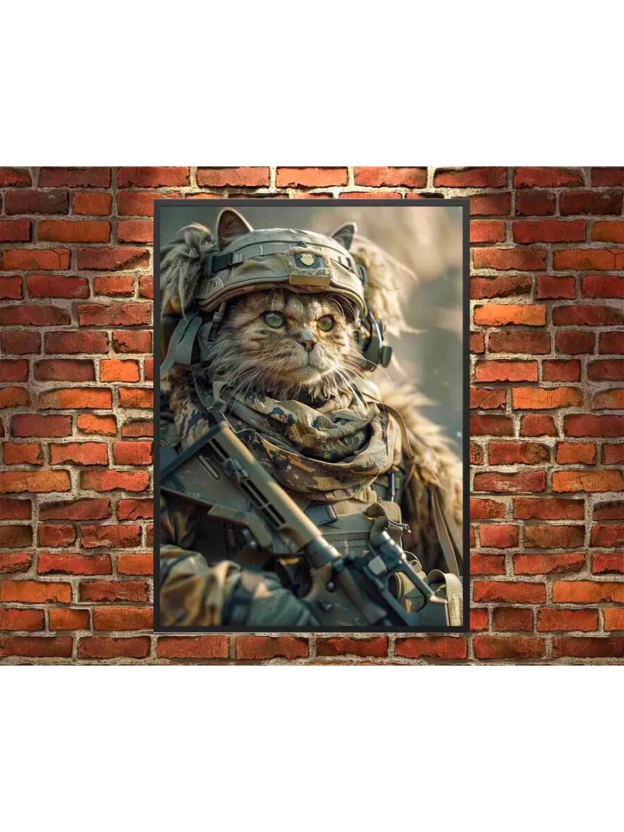 Персидский кот-солдат 2, Плакат 30x42см