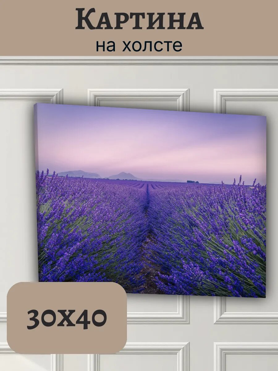 Картина Франция France 30x40 лавандовое поле Прованс
