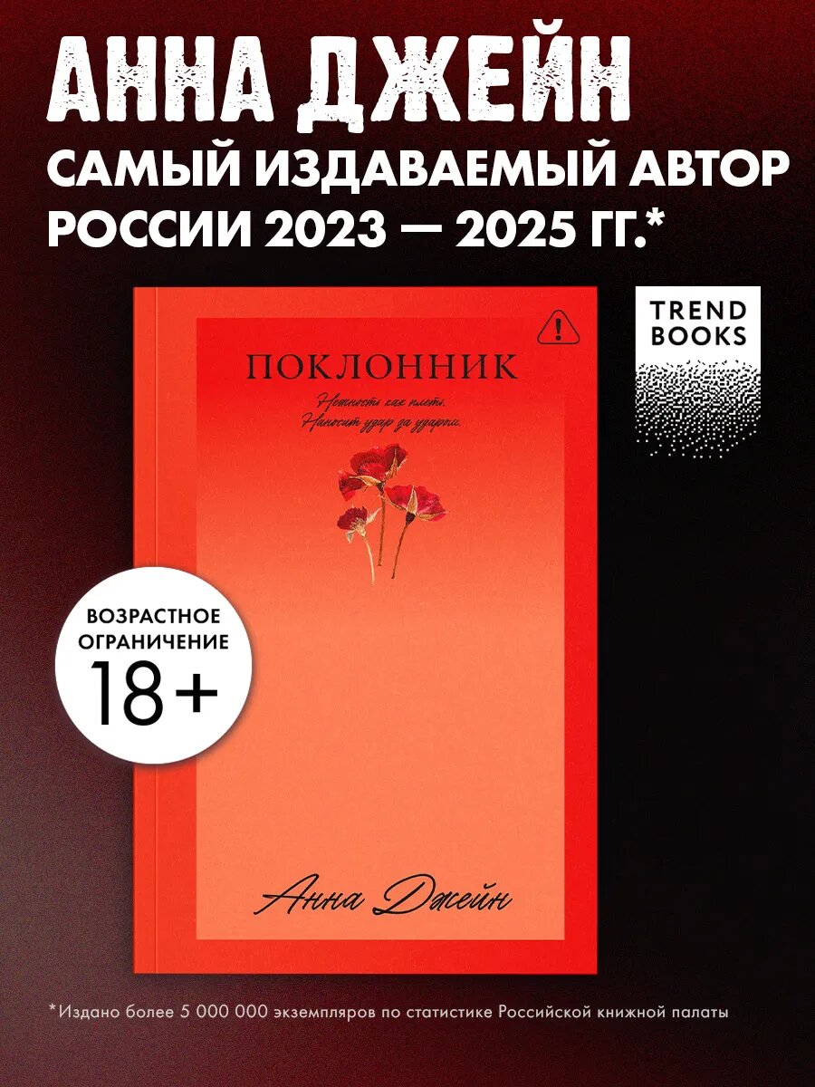 Анна Джейн. Поклонник. Книги романы