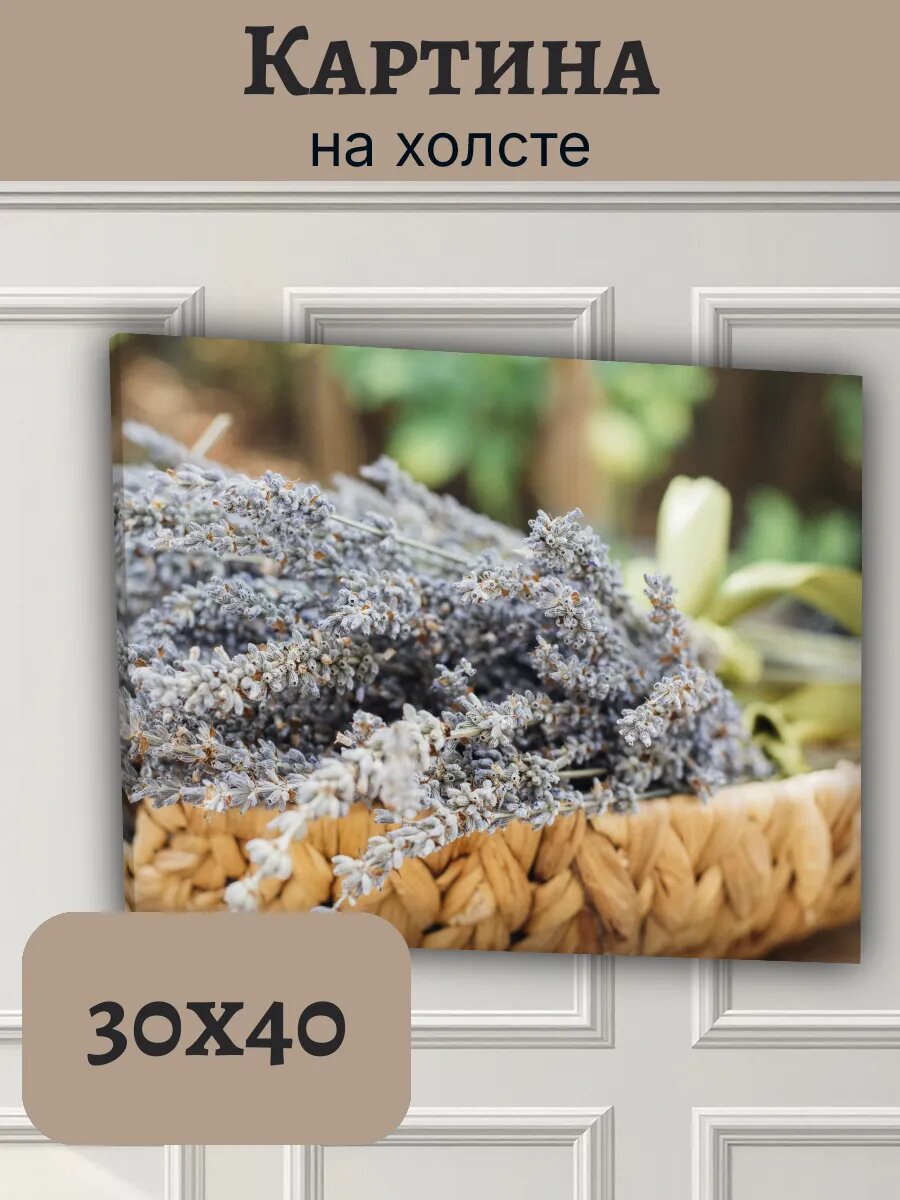 Картина Франция France 30x40 прованс лаванда