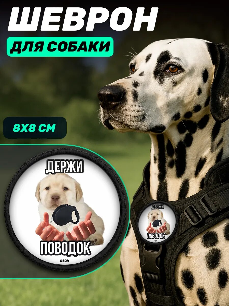 Шеврон на липучке для собак мем Держи поводок