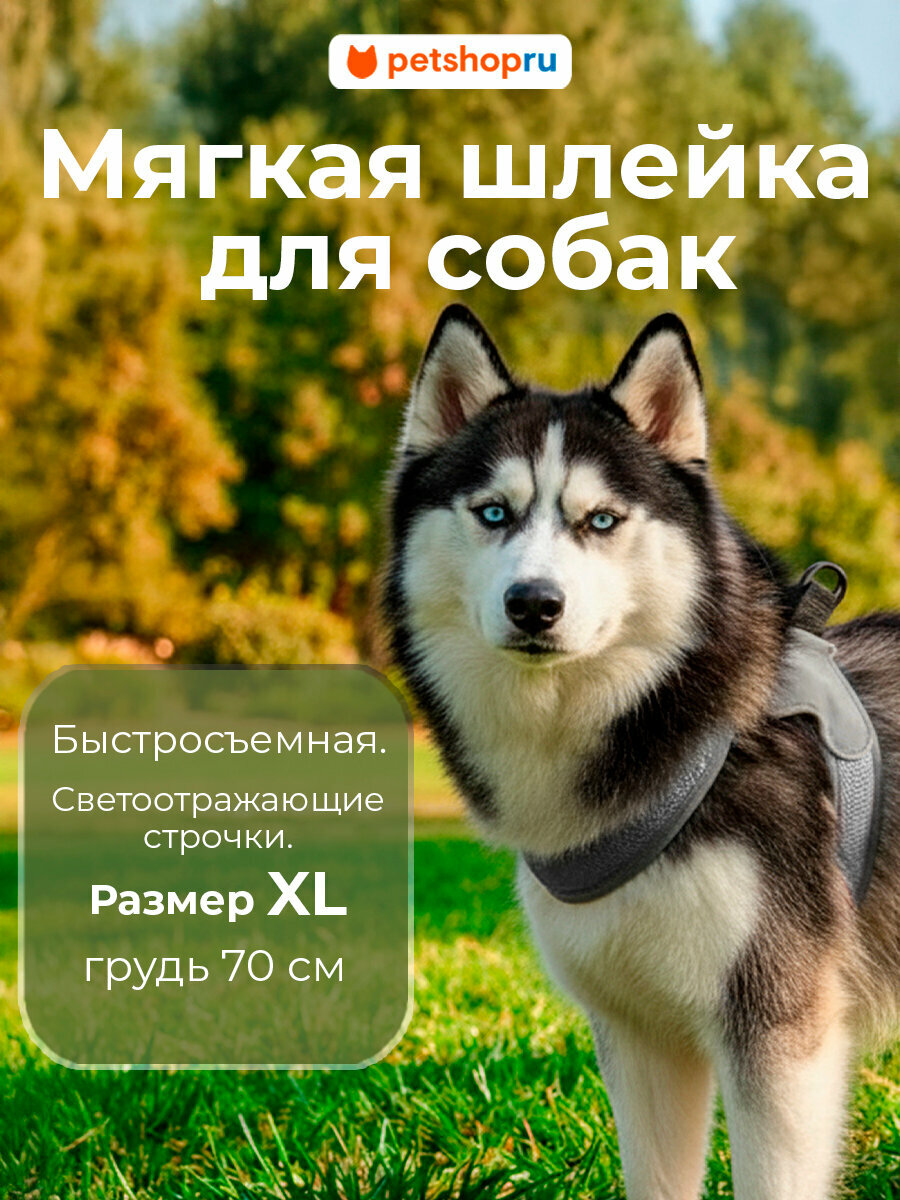 PETSHOP Шлейка для собак мягкая "Спайк" XL, серая