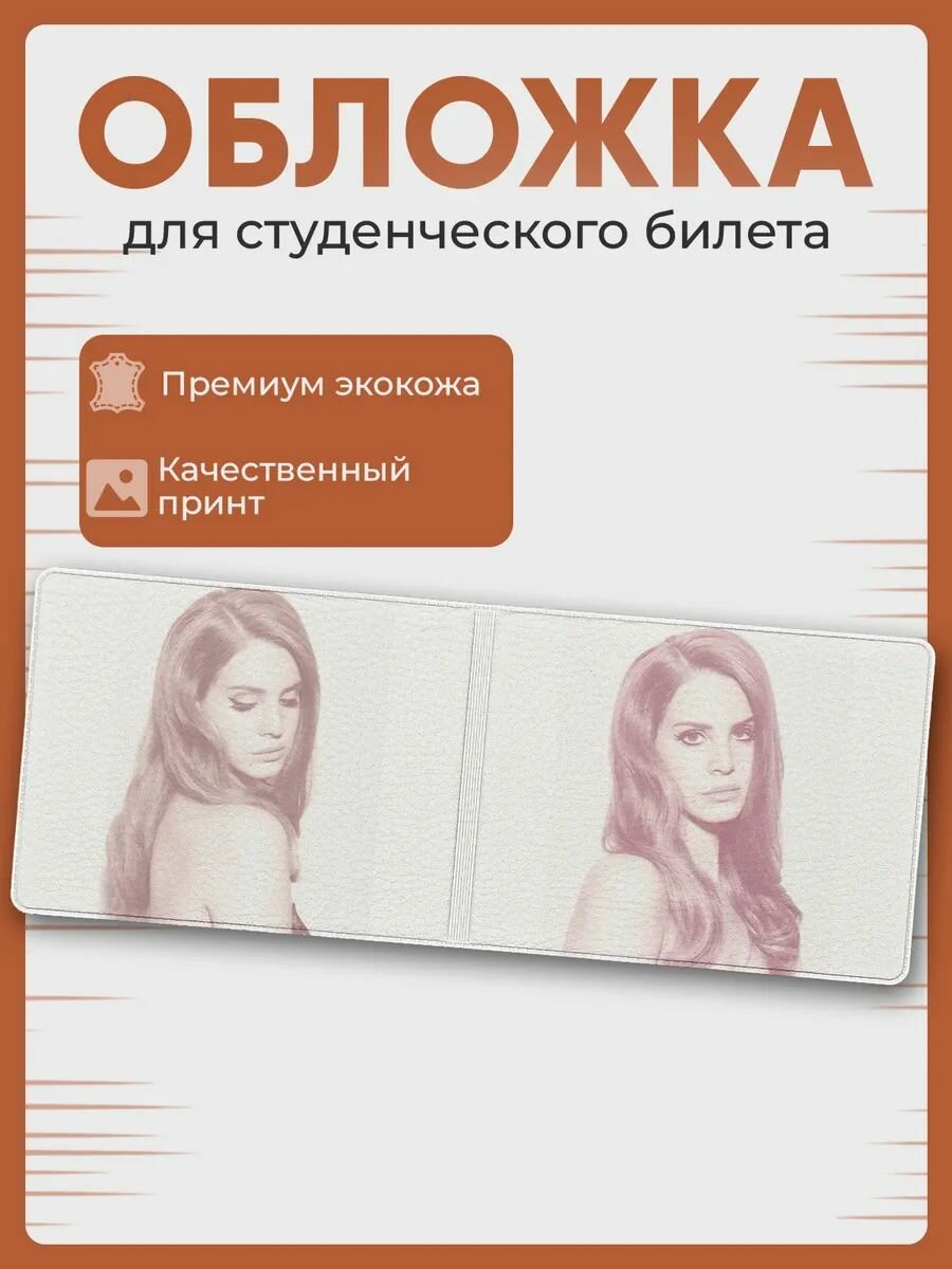 Обложка для студенческого билета СП СТОУНИ
