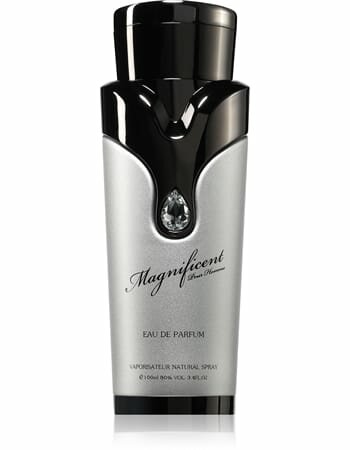 Вода парфюмерная Armaf Magnificent Pour Homme, 100 мл