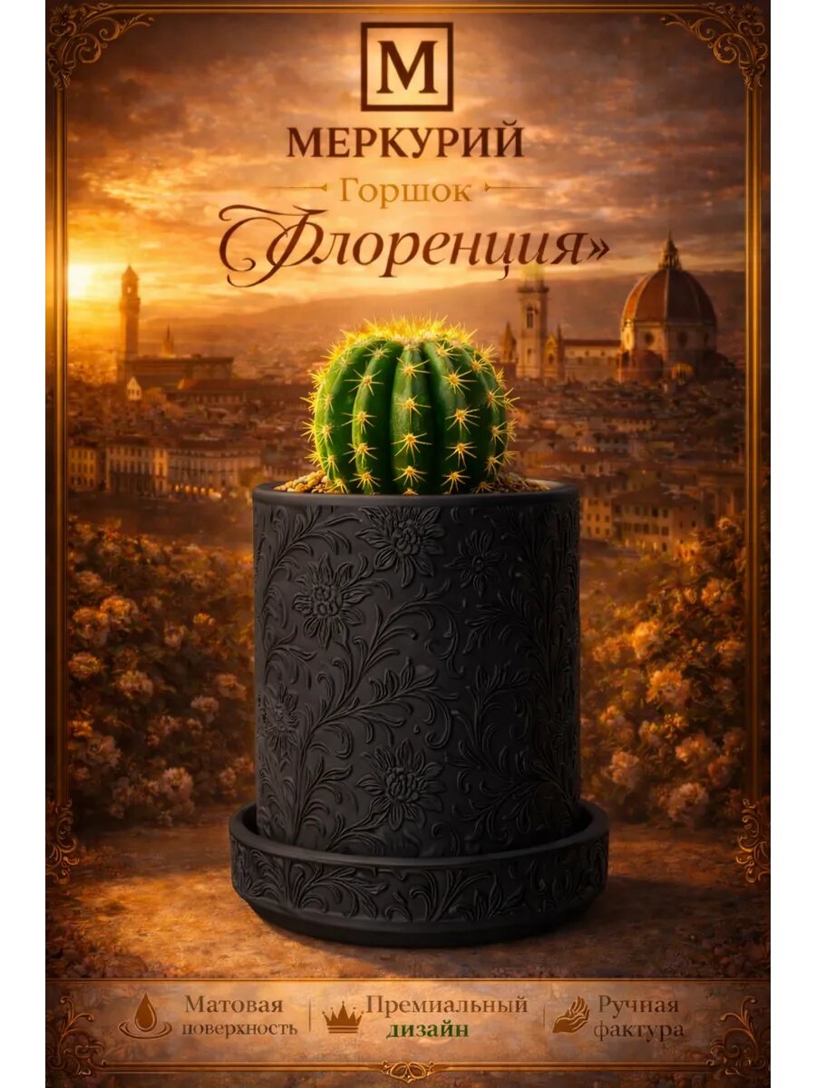 Горшок для комнатных кактусов и суккулентов