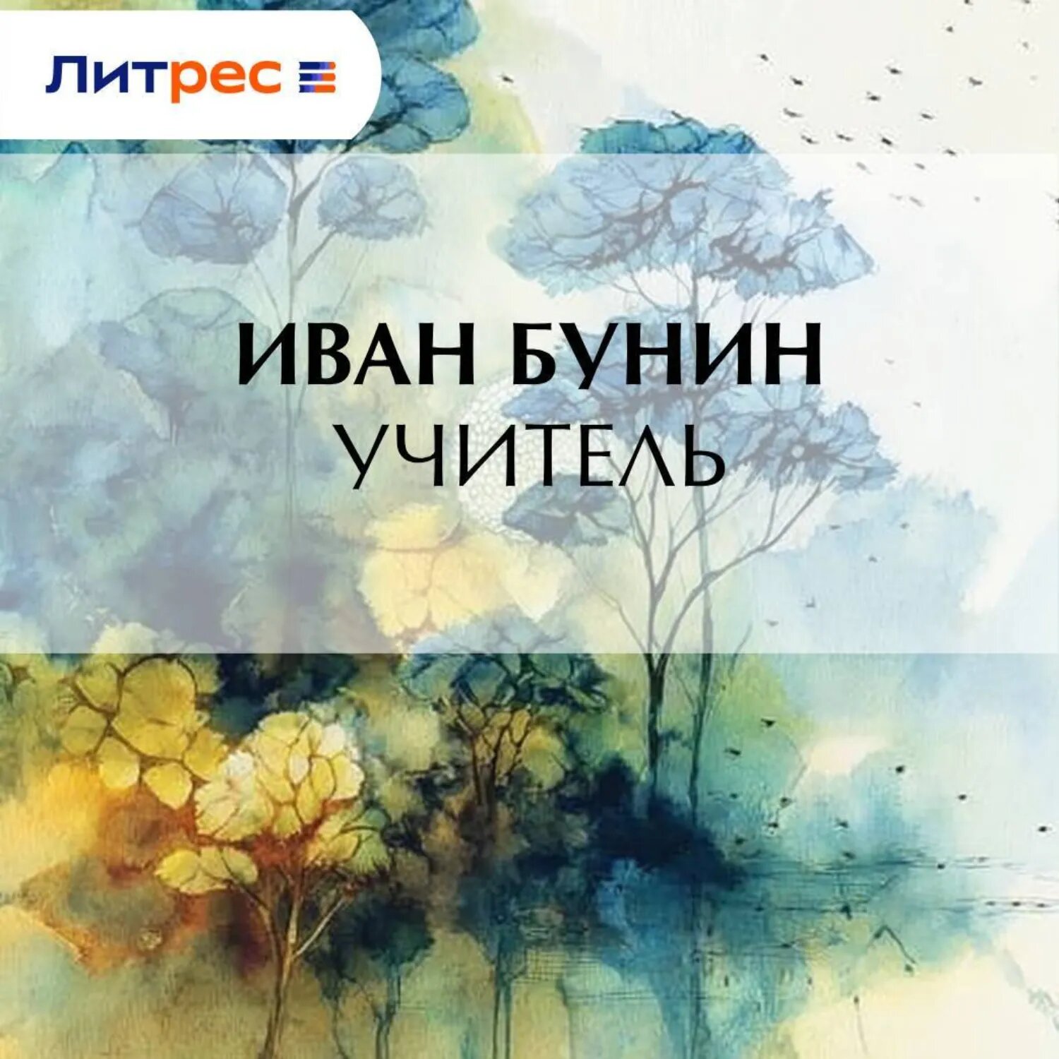 Учитель [Аудиокнига]