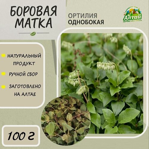 Изображение товара Боровая матка (ортилия однобокая) АлтайМир, побеги цельные, для женского здоровья, 100г