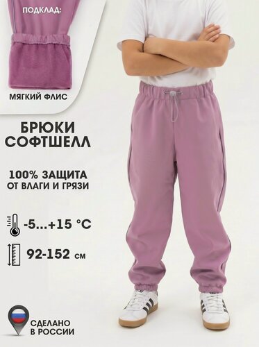Изображение товара Брюки утеплённые пыльная роза
