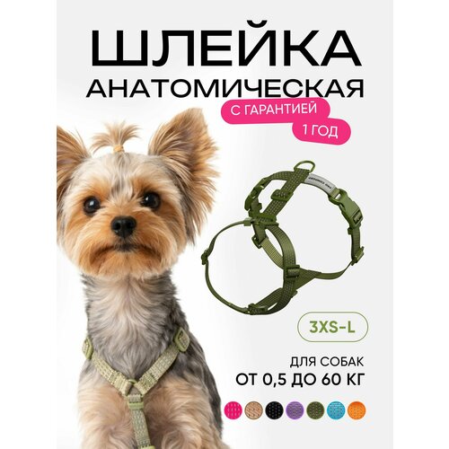 фото Шлейка для собак мелких пород и кошек анатомическая, размер xхs, светоотражающая, хаки procomfort