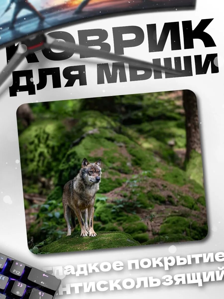 Коврик для мыши Волк в лесу
