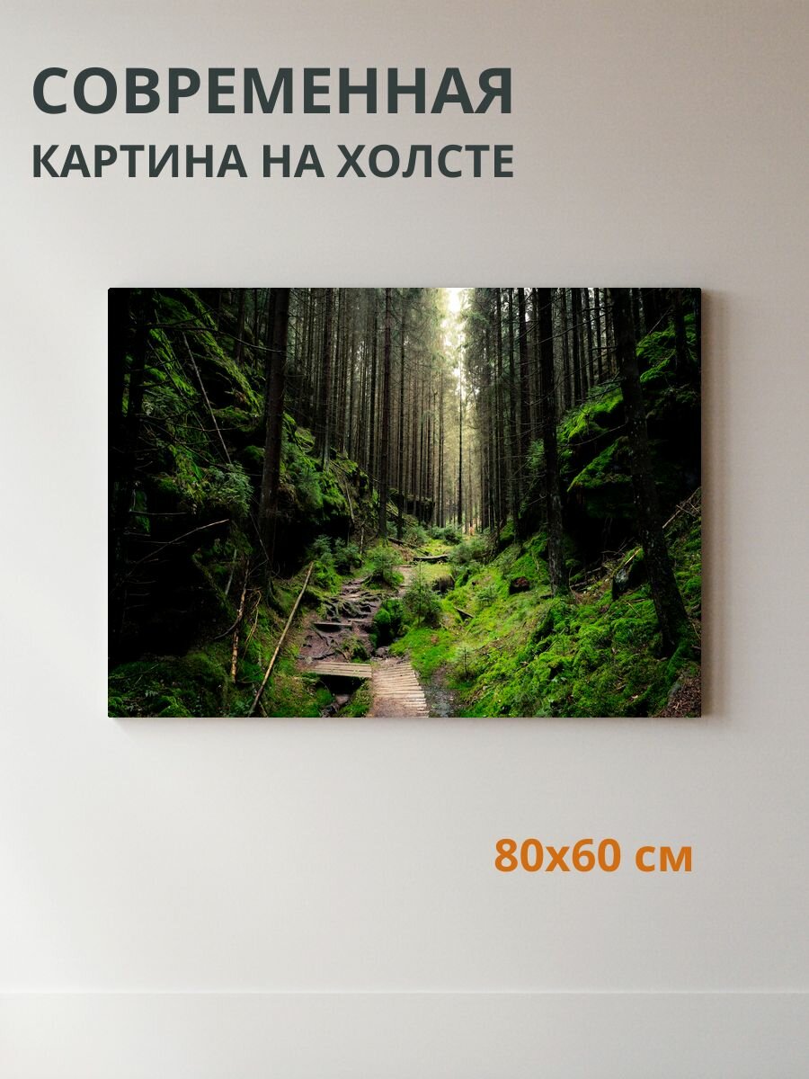 Картина на холсте Лес 80x60 см