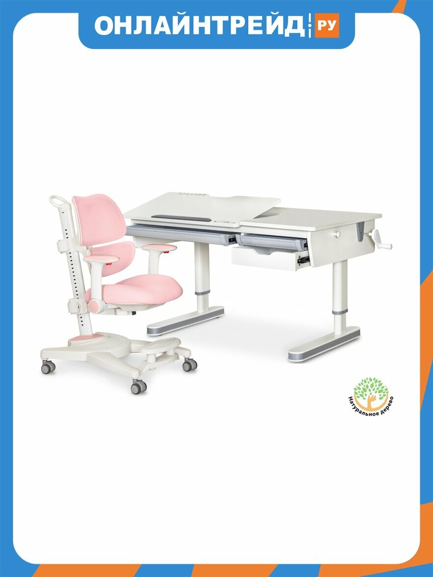Комплект парта и кресло Ergokids Montreal 2 Lite BD-670-2 MC/WG Lite + Y-609 KP
