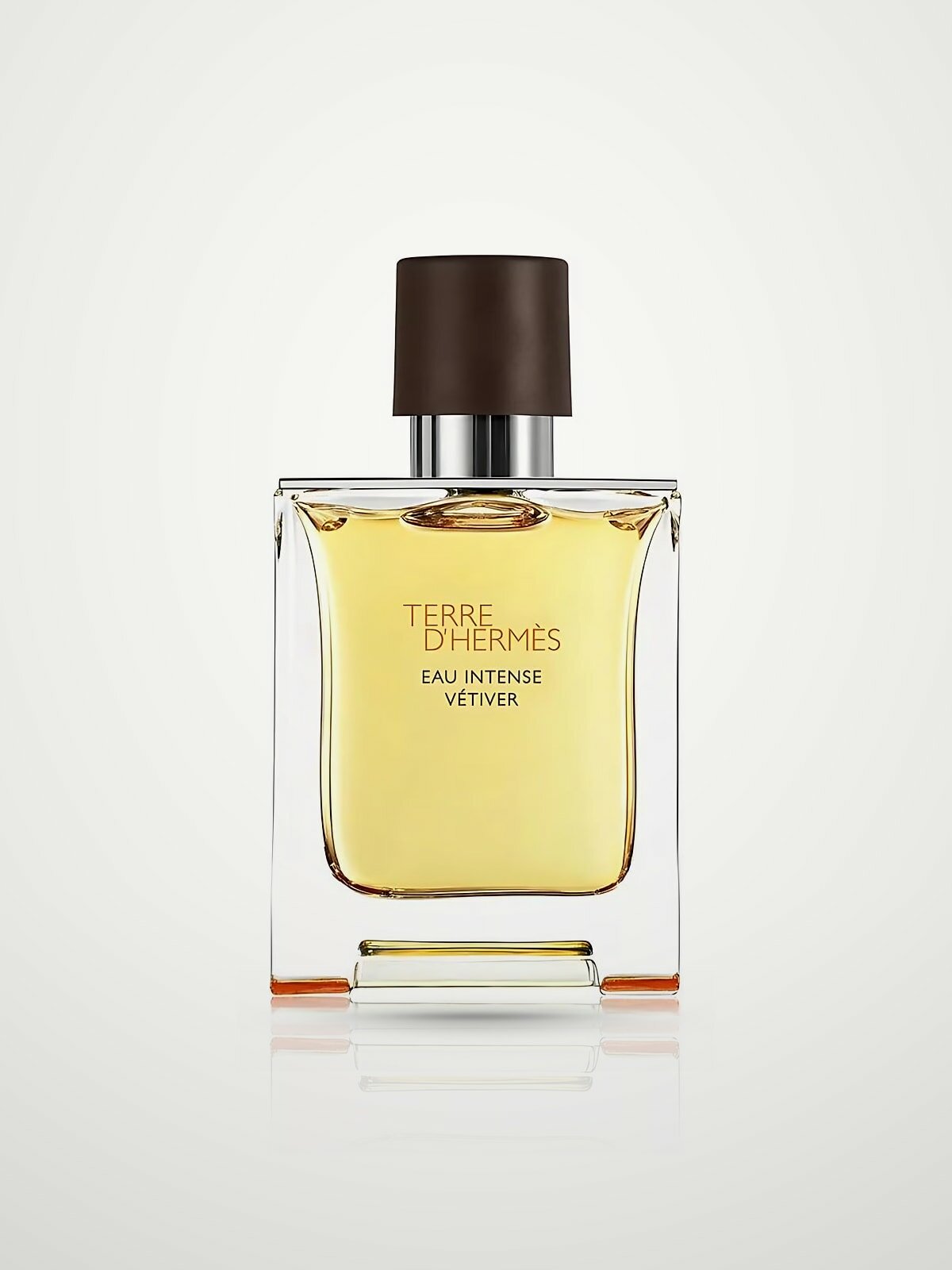 Hermes Terre d'Hermes Eau Intense Vetiver Мужской парфюм 100ml edp