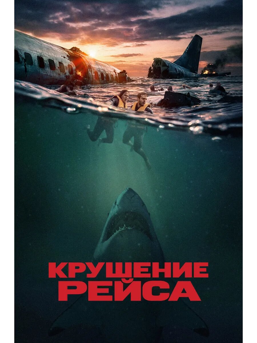 Крушение рейса (2026) (DVD-R)