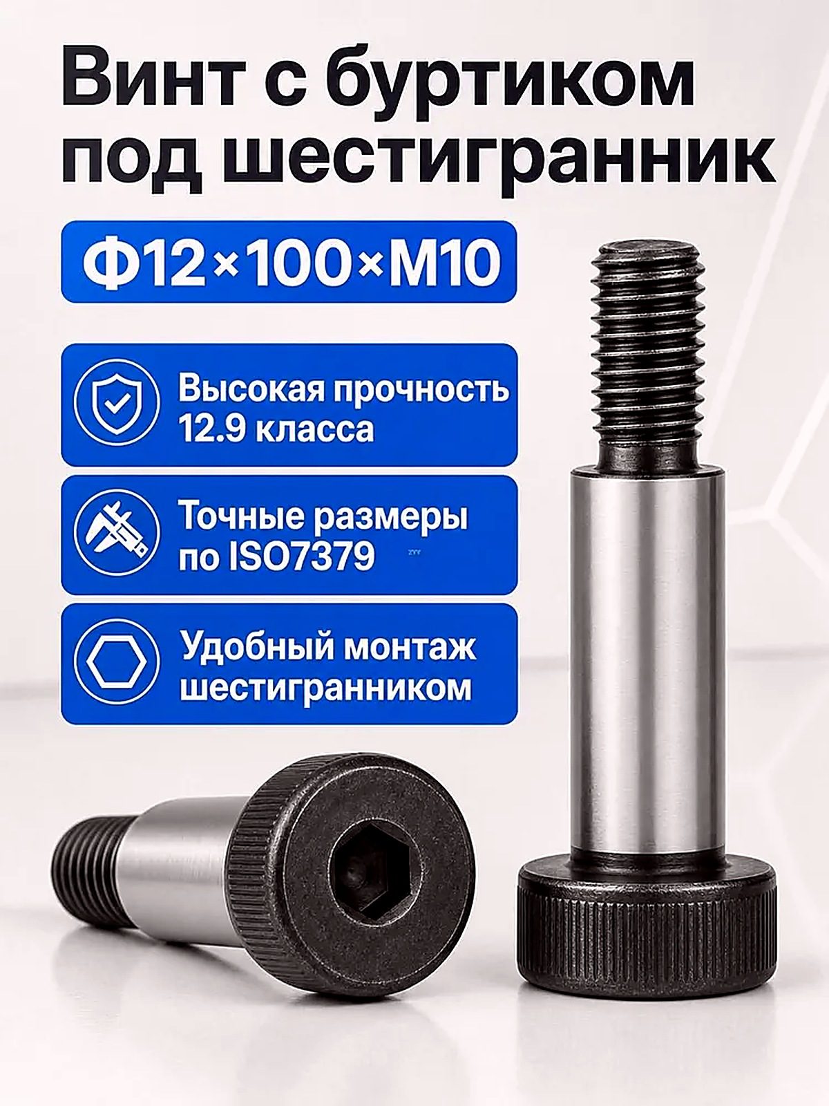 Винт М10 x 12 x 100 мм, головка: Круглая, 10 шт. 130 г, материал Карбоновая