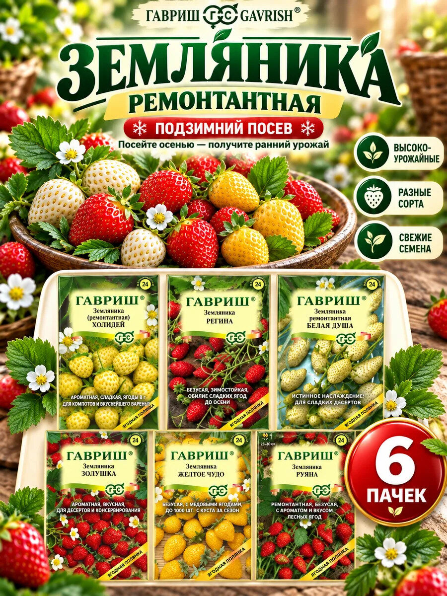 Семена земляники ремонтантной 6 пакетов