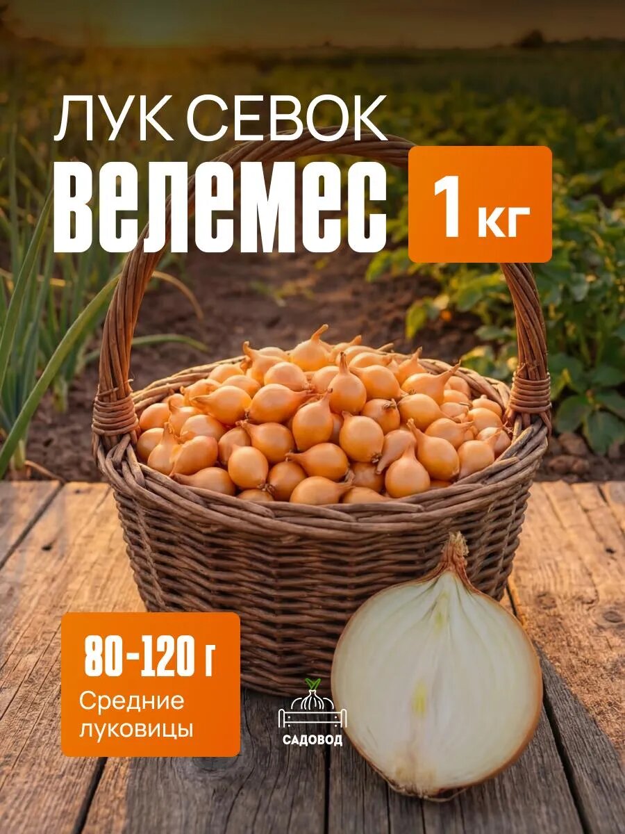 Лук севок Велемес 1 кг на посадку осенью