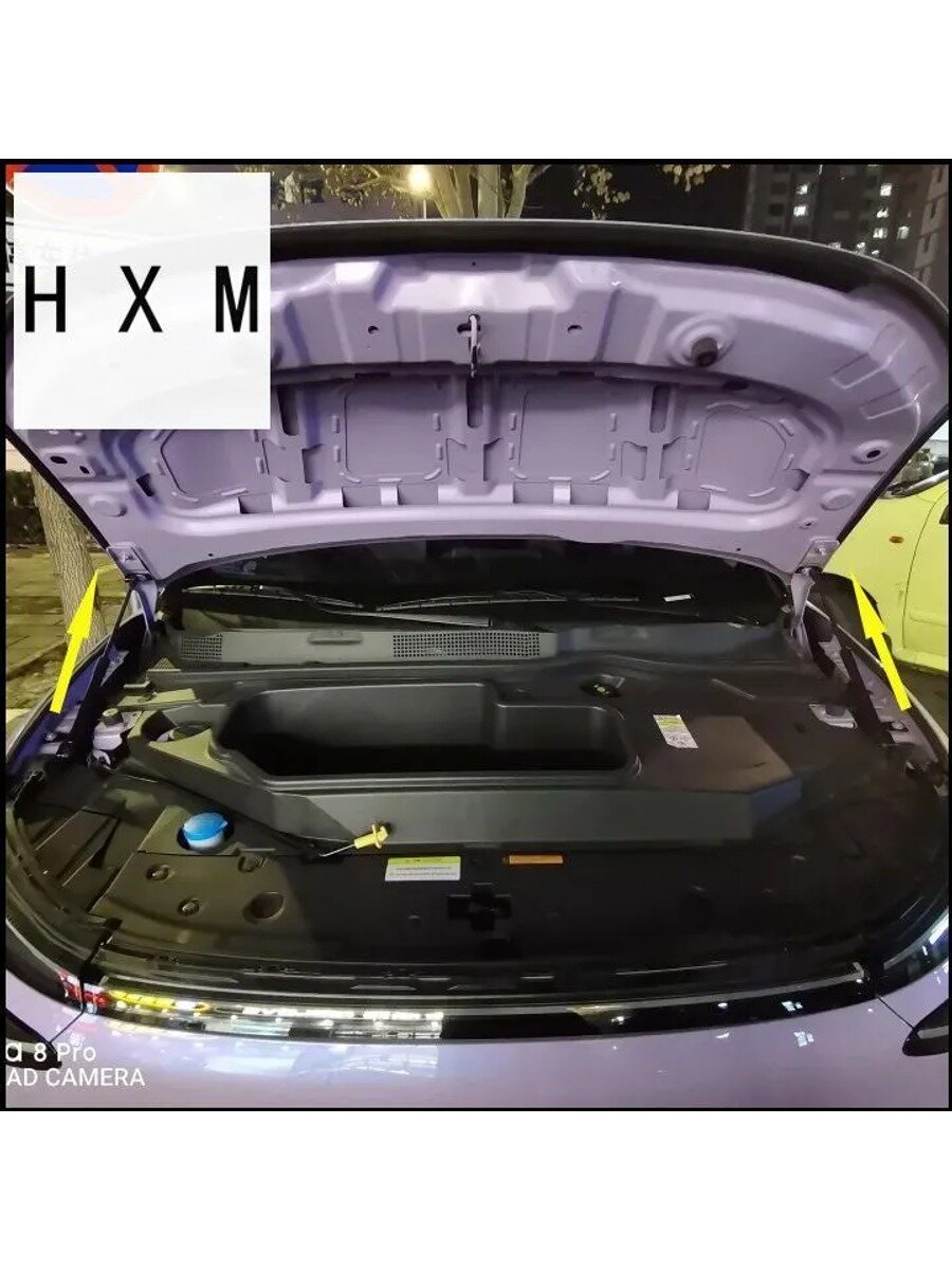 Амортизаторы капота газовые для, и 01 с 2025 года, набор 2 шт