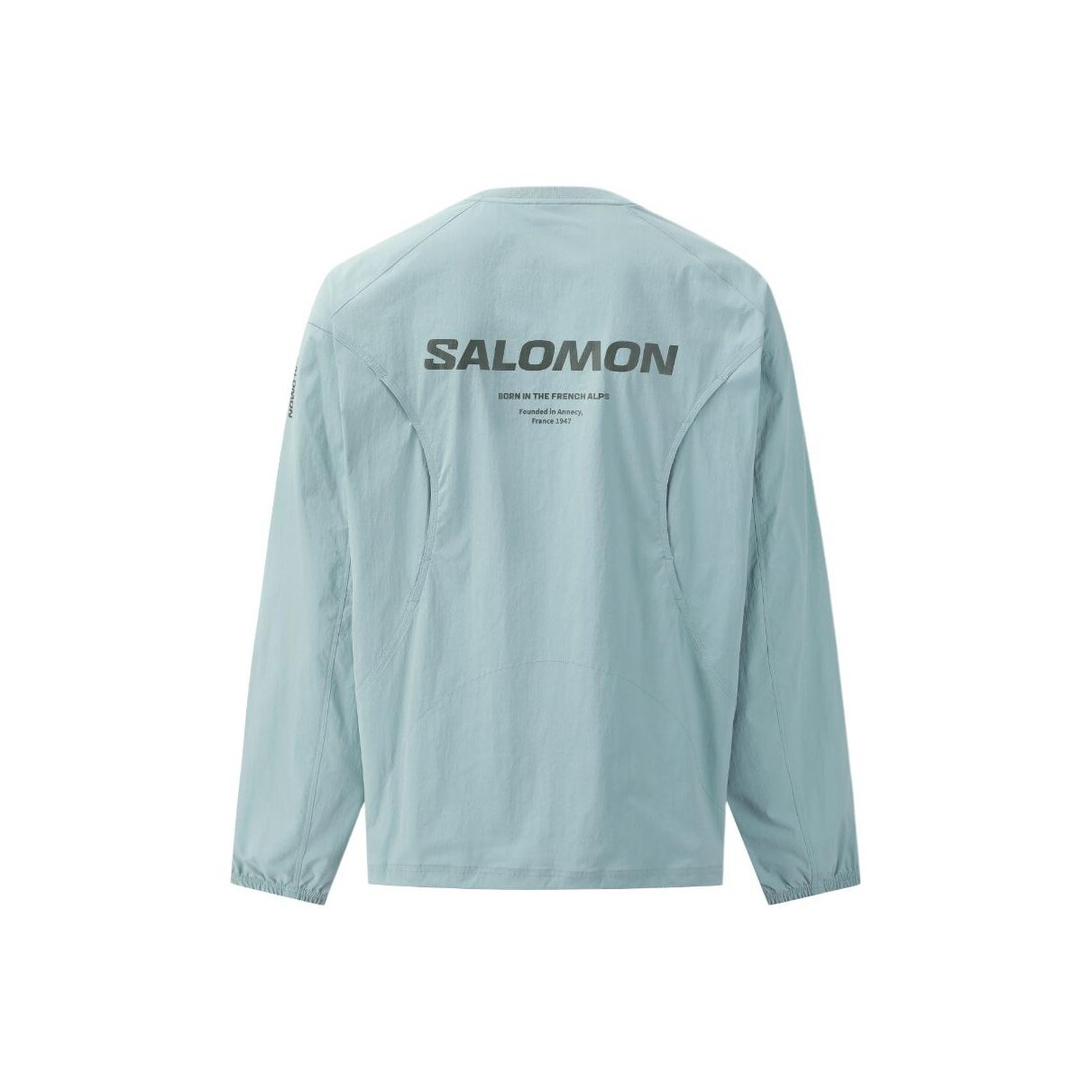 Толстовка Salomon