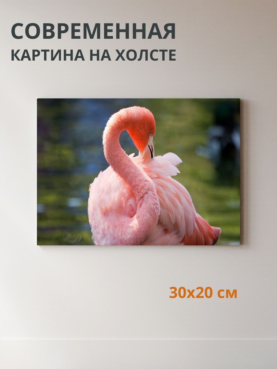 Картина на холсте Фламинго 30x20 см