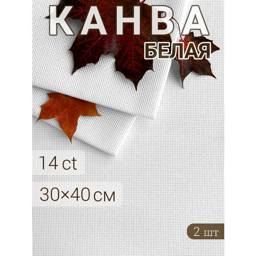 фото Канва для вышивания крестиком аида 14 (набор 2шт), 30x40 см белая, канва для глаз