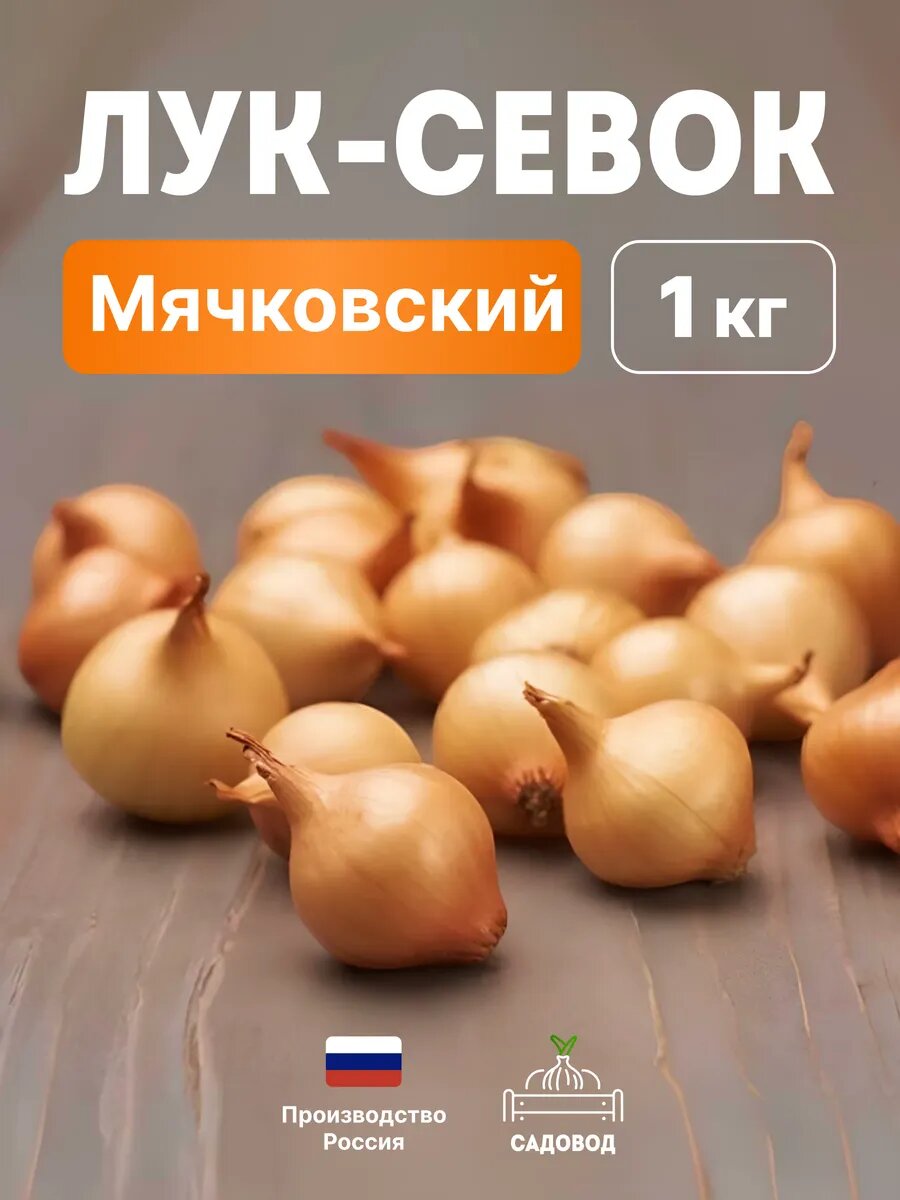 Лук севок Мячковский 1 кг на посадку осенью