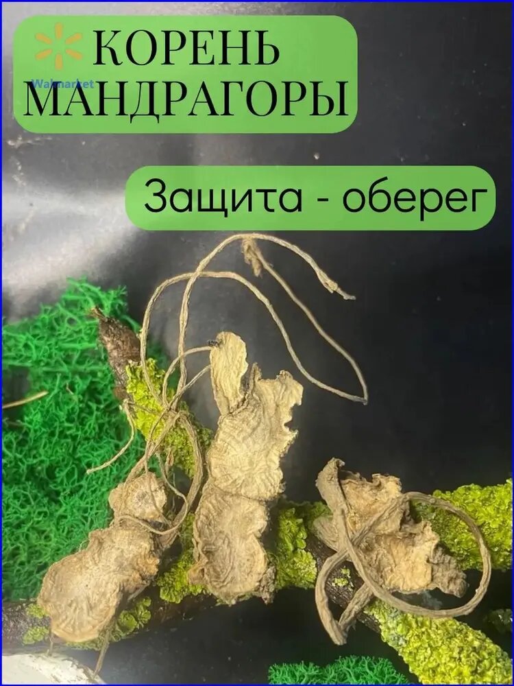 Корень мандрагоры (Кричащее растение ведьм) - талисман, амулет, оберег на защиту себя, близких и своего дома, поглощение и разрушение негативных энергий