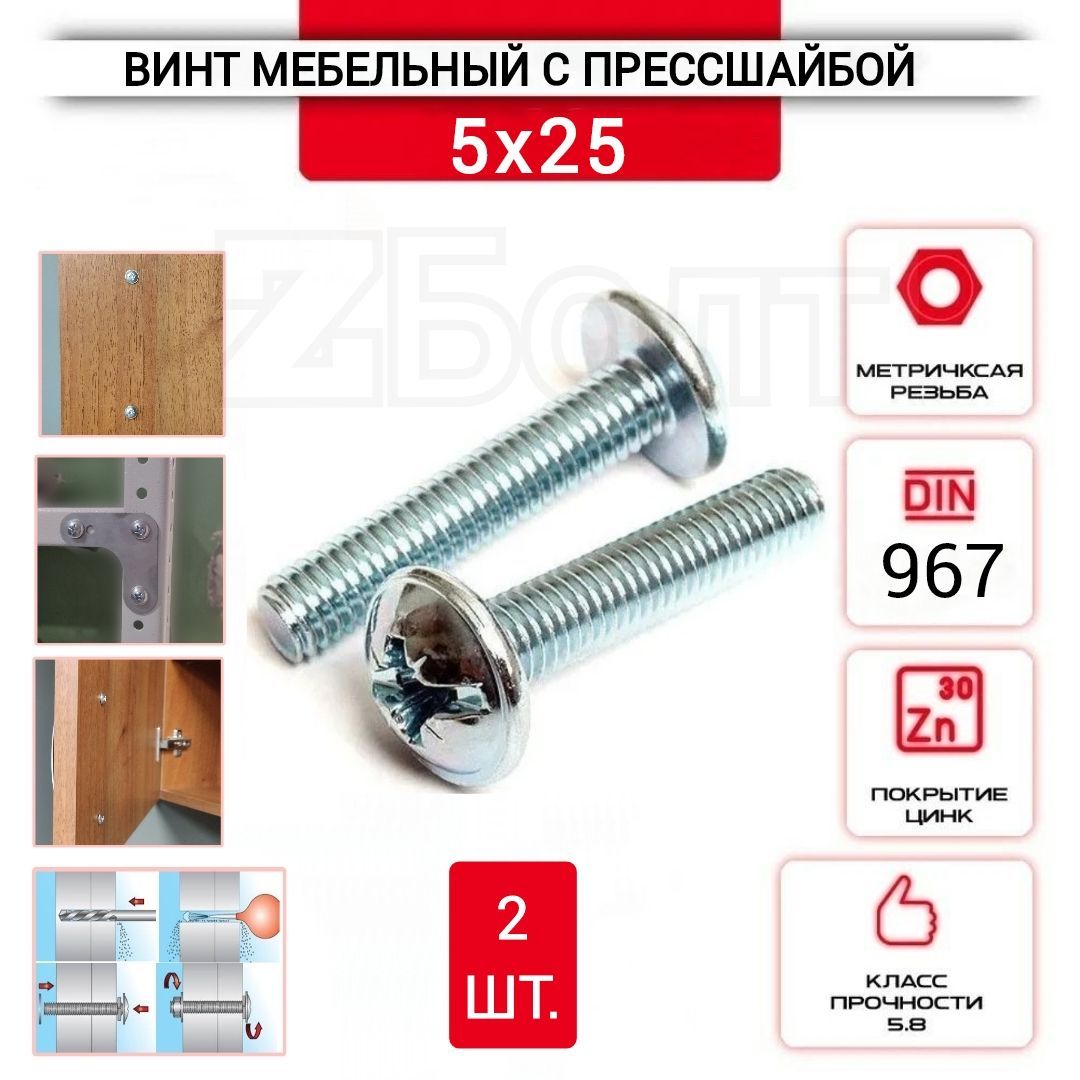 Винт мебельный с полукруглой головкой и прессшайбой, DIN967, 5х25, 2 шт.