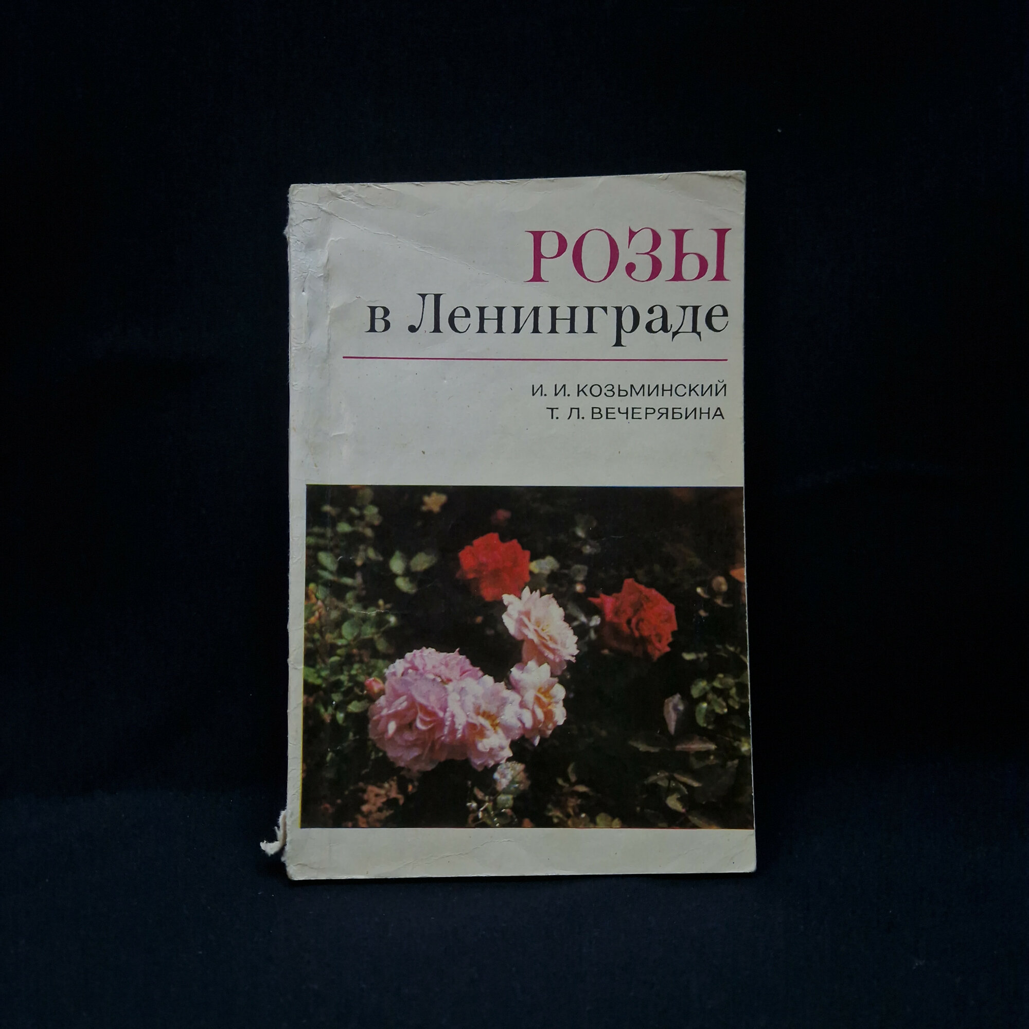 Иосиф Козьминский. Розы в Ленинграде. Книга СССР, цветоводство и декоративное садоводство