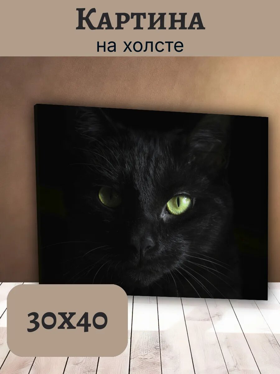 Картина Кот Кошка Cat 30x40 черная кошка с зелеными глазами