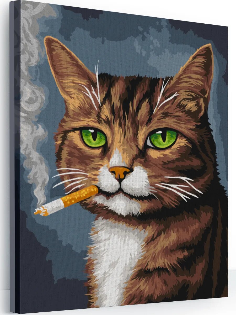Картина по номерам на холсте с подрамником 40х50 см Кот-плохиш