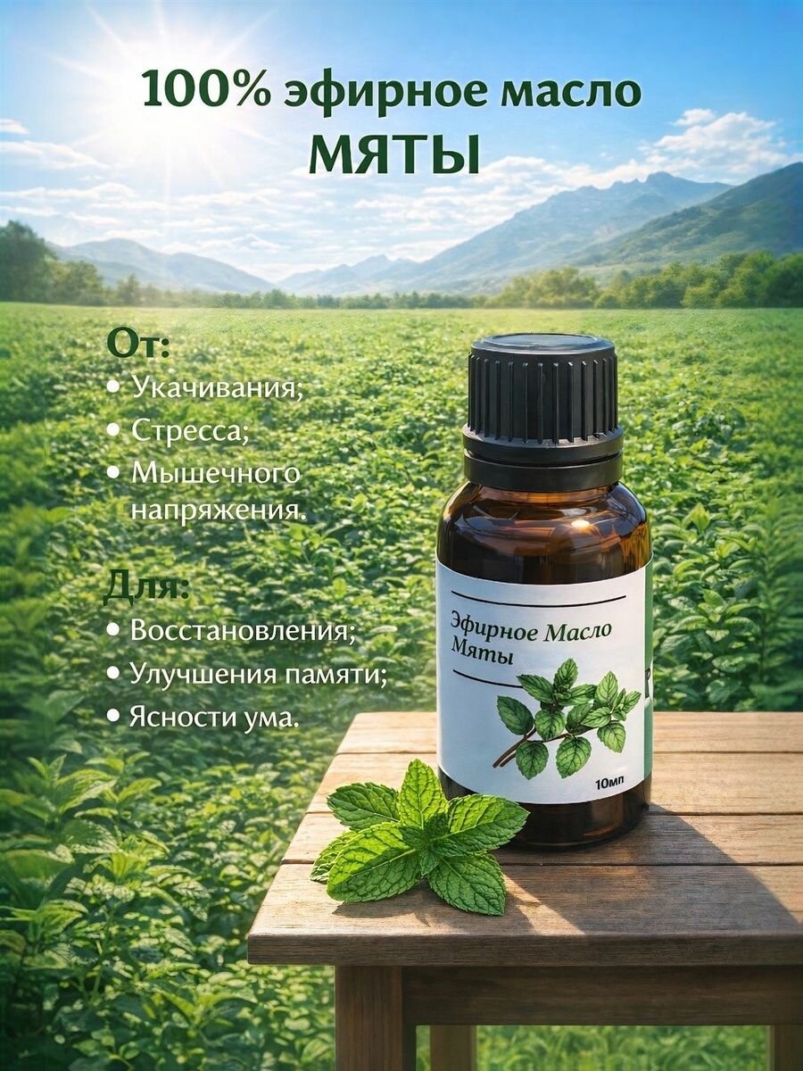 Набор Эфирное масло для бани , косметики , ароматизации воздуха , автомобиля — фото 1