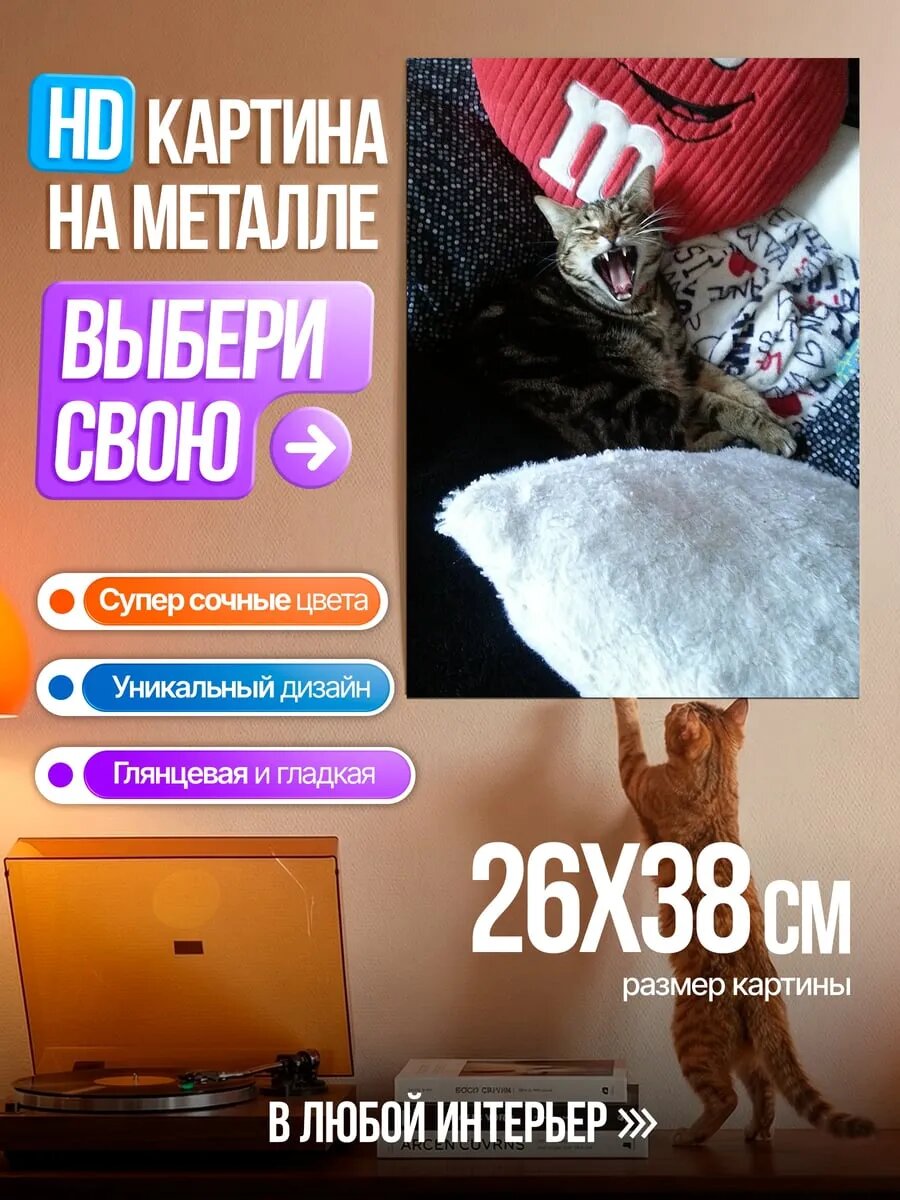 Картина на HD металле Зевающий котенок