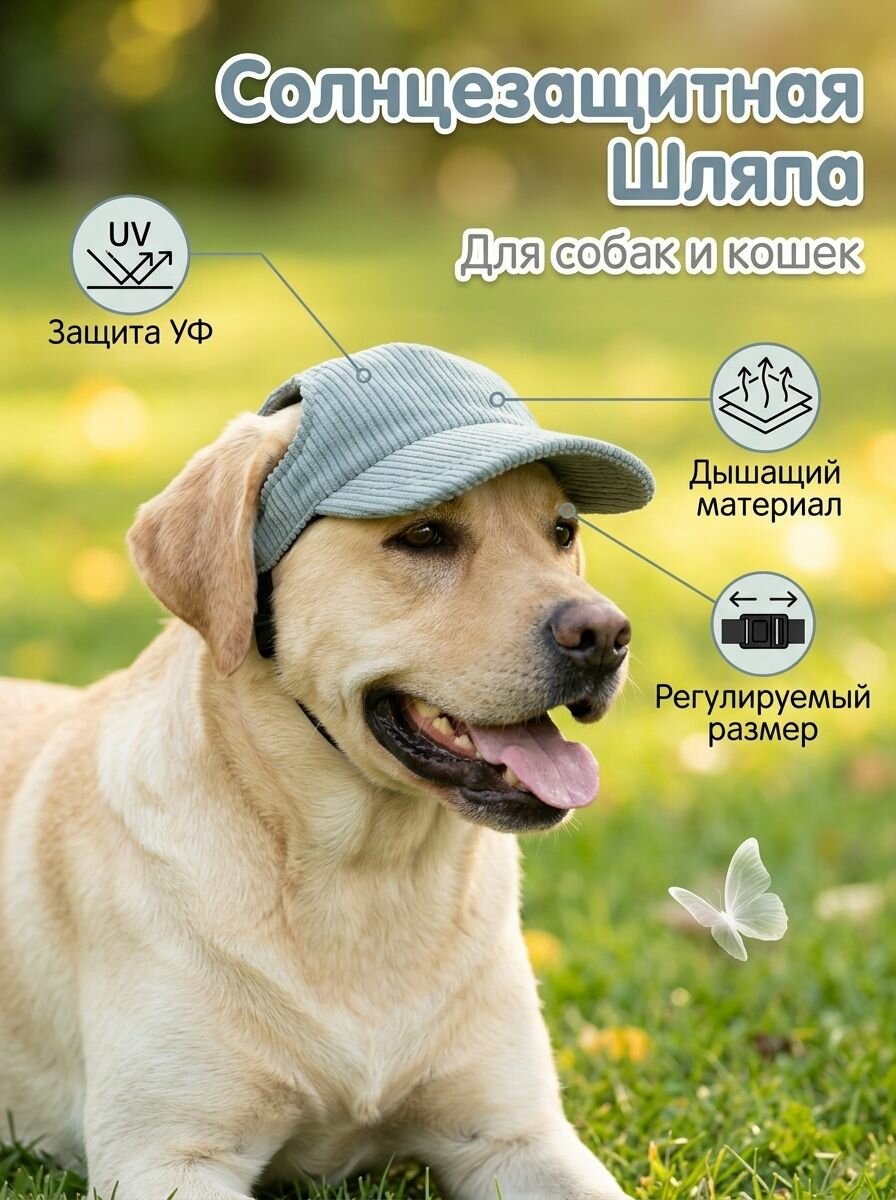 Шляпа от солнца для собак и кошек, с UV защитой и ушными отверстиями, регулируемый размер, шалфей, XL