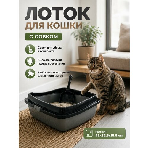 фото Туалет для кошек и котов большой 43х32,5х15,5 см с совком в подарок, черно-серебристый ddstyle