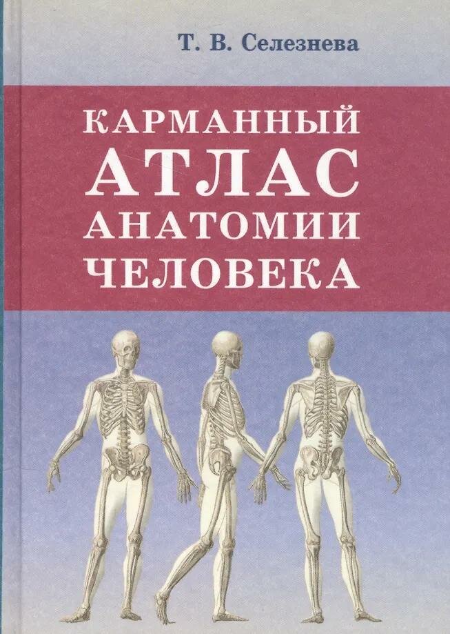 Карманный атлас анатомии человека. Селезнева Т. В.