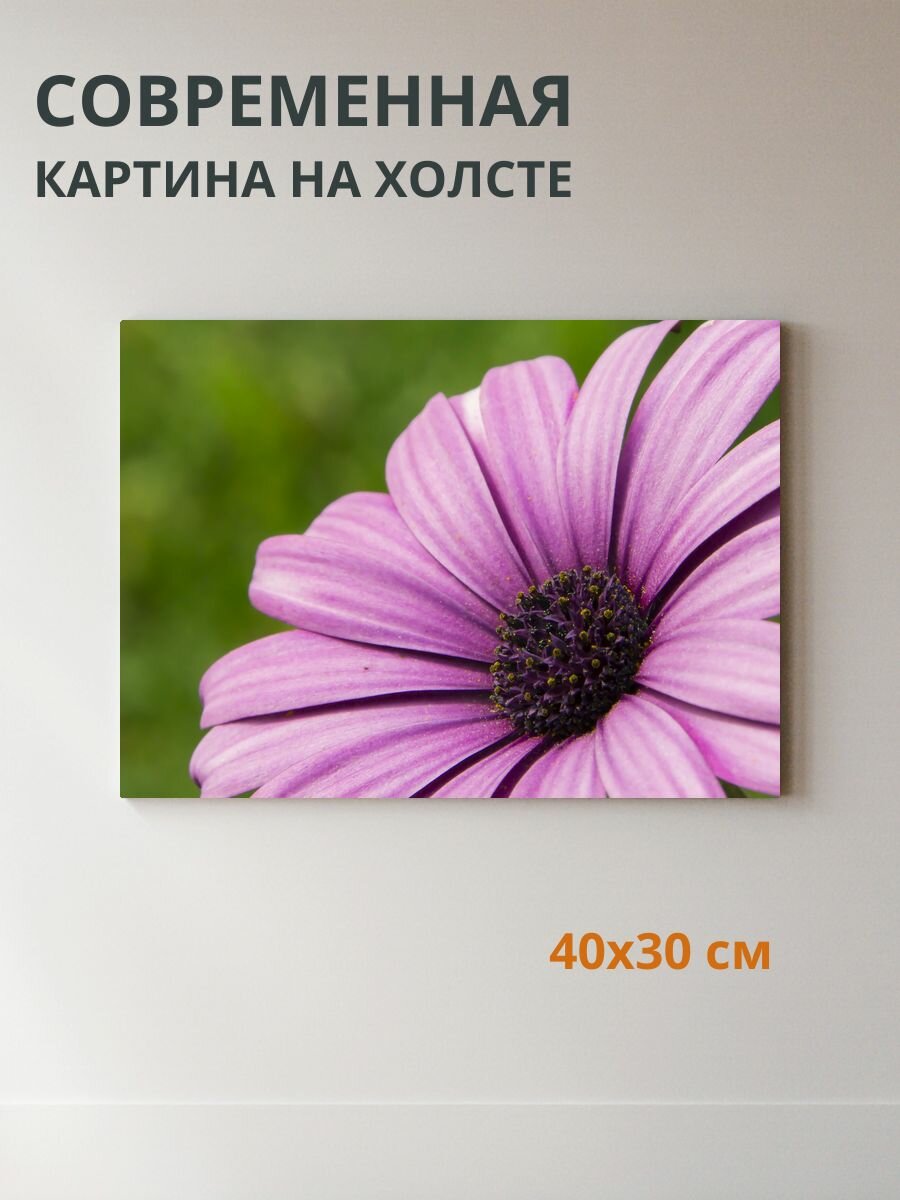 Картина на холсте Цветы 40x30 см
