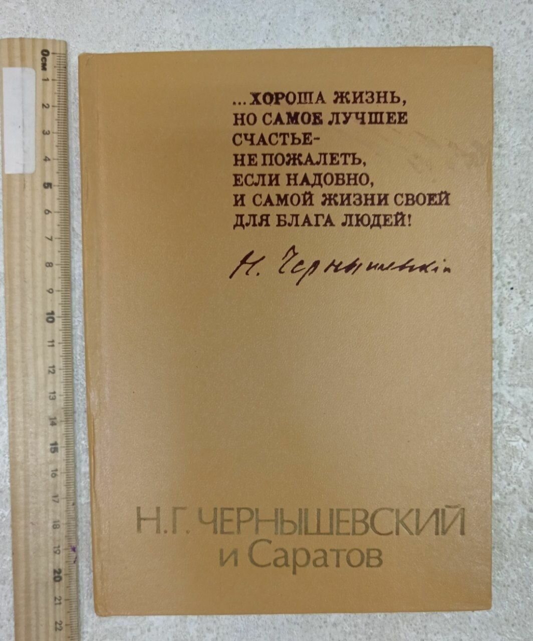 Н. Г. Чернышевский и Саратов. Чернышевская Нина Михайловна