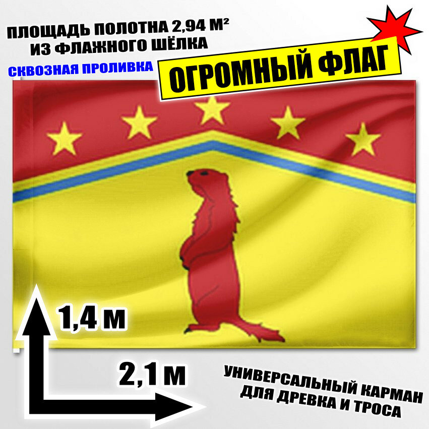 Флаг огромный Тойсинского сельского поселения 210x140 см