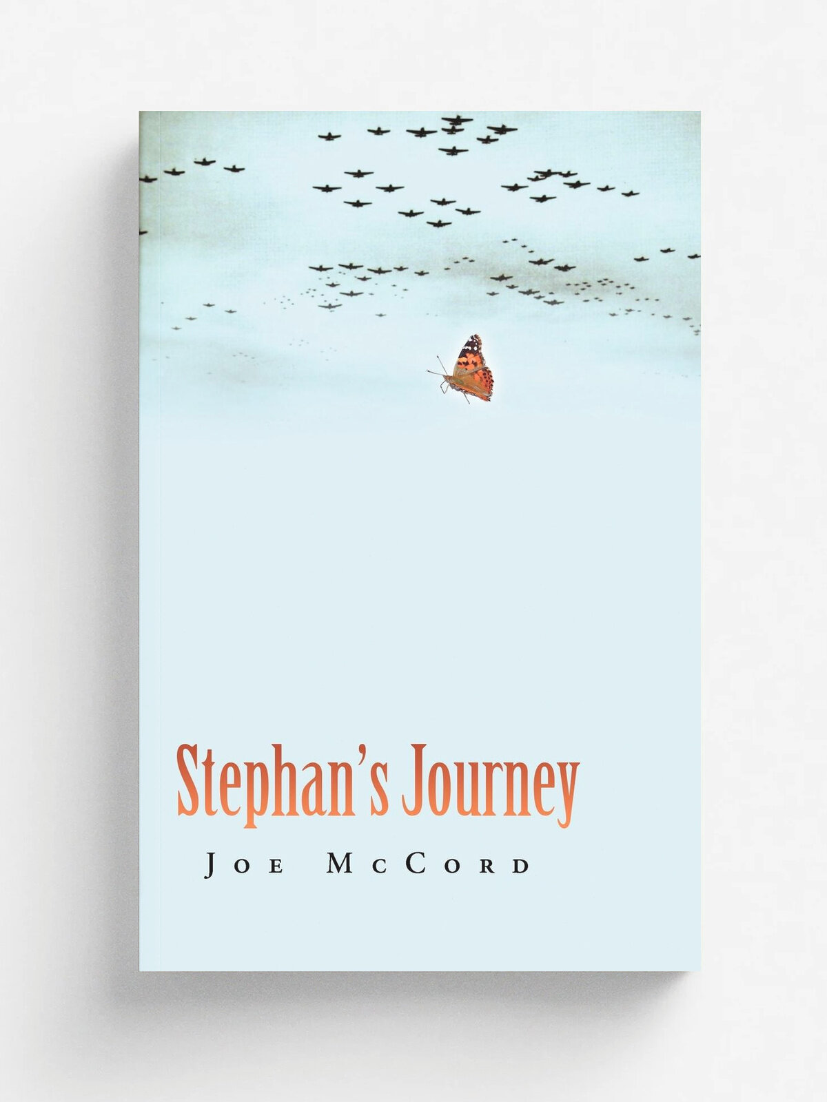 Stephan's Journey