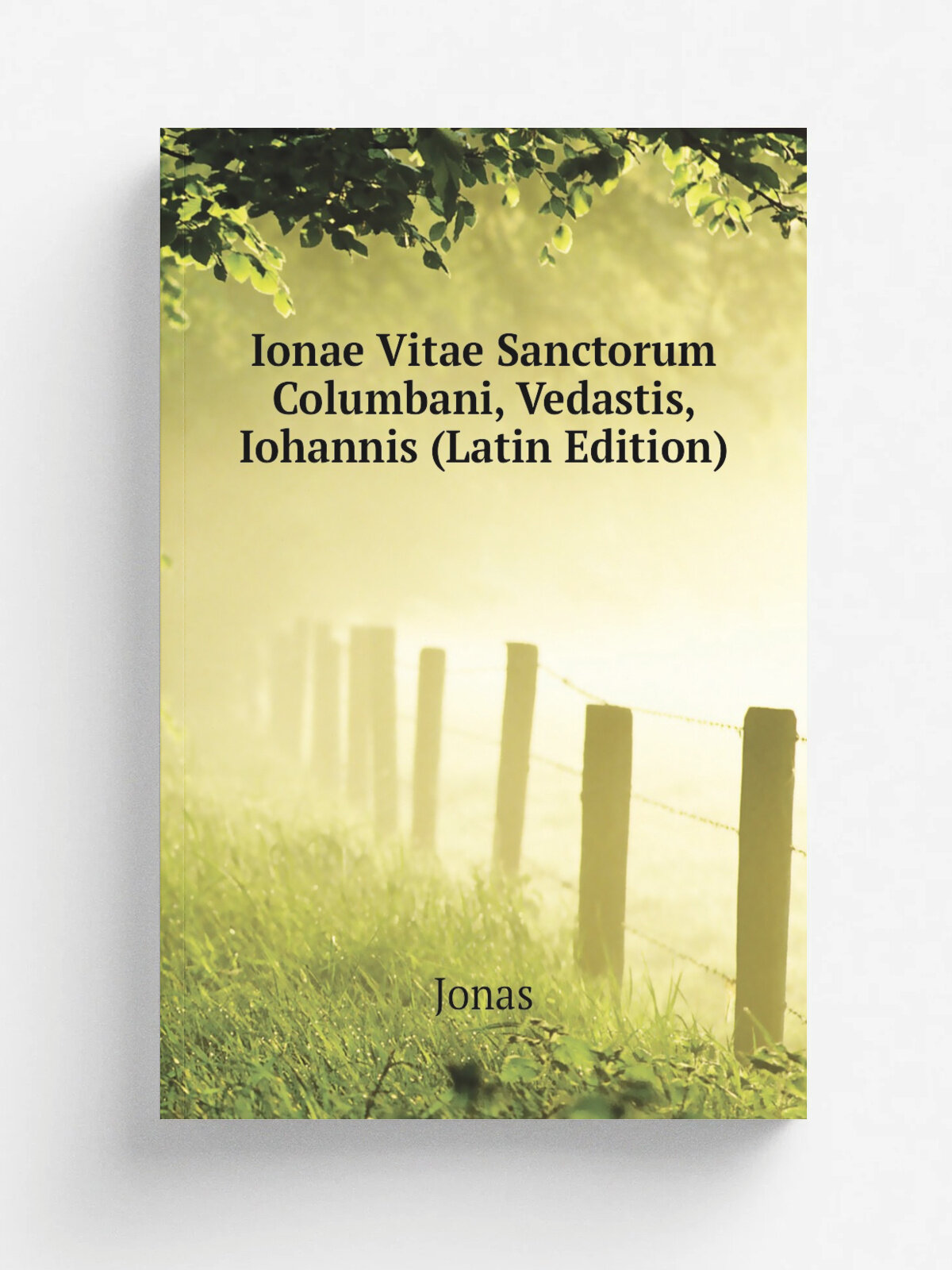 Ionae Vitae Sanctorum Columbani, Vedastis, Iohannis (Latin Edition) | Jonas | Репринт