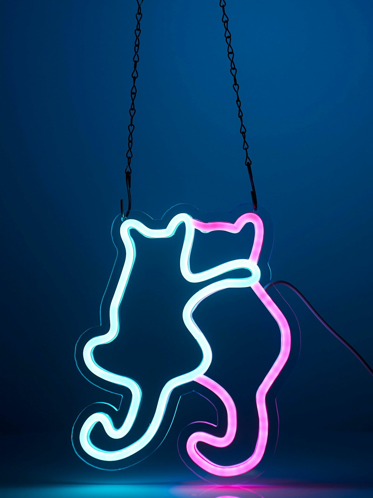 Неоновая вывеска "Котики", 21x26 см, от USB, свечение голубое, розовое