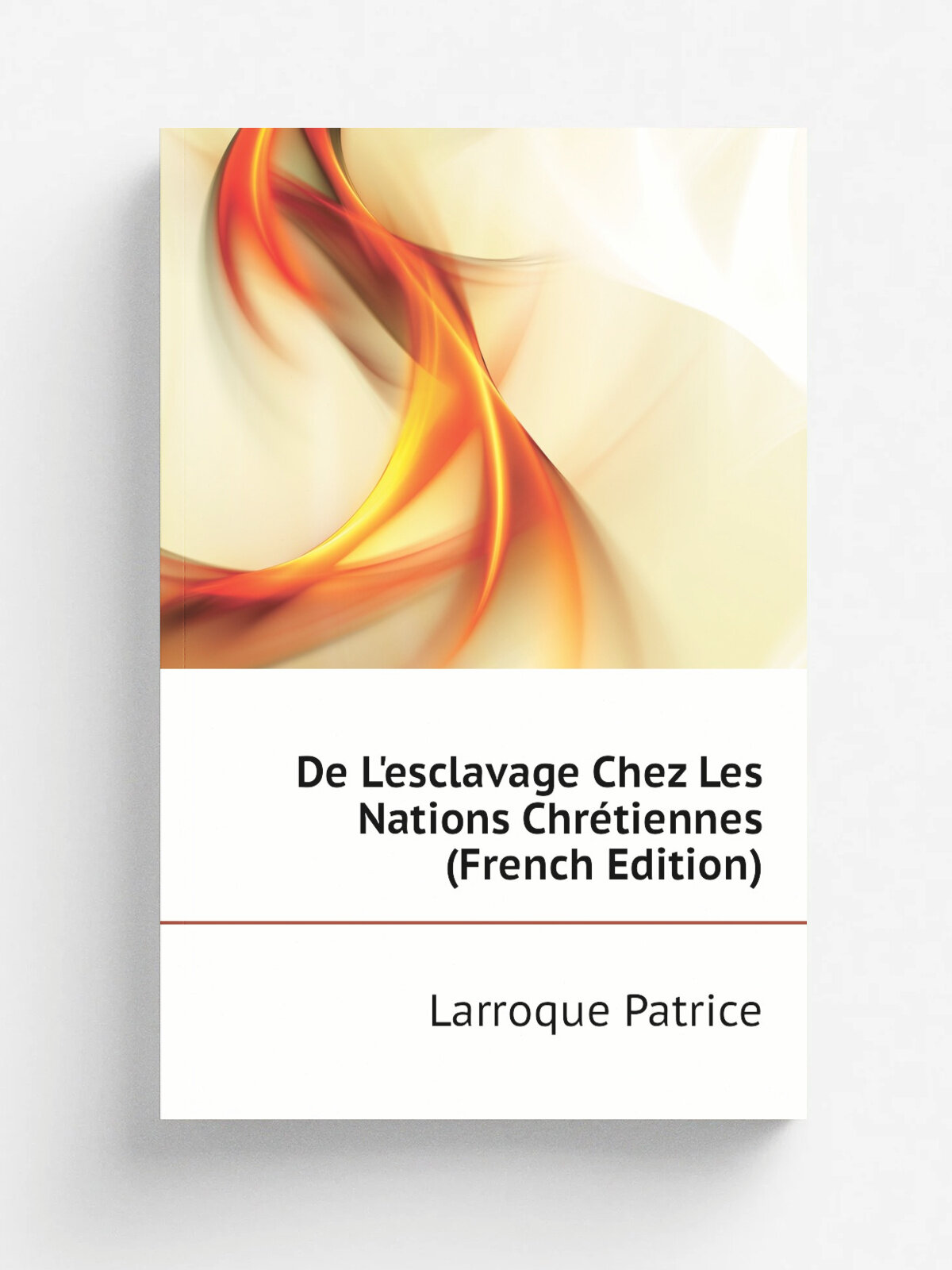 De L'esclavage Chez Les Nations Chr.tiennes (French Edition) | Larroque Patrice | Репринт