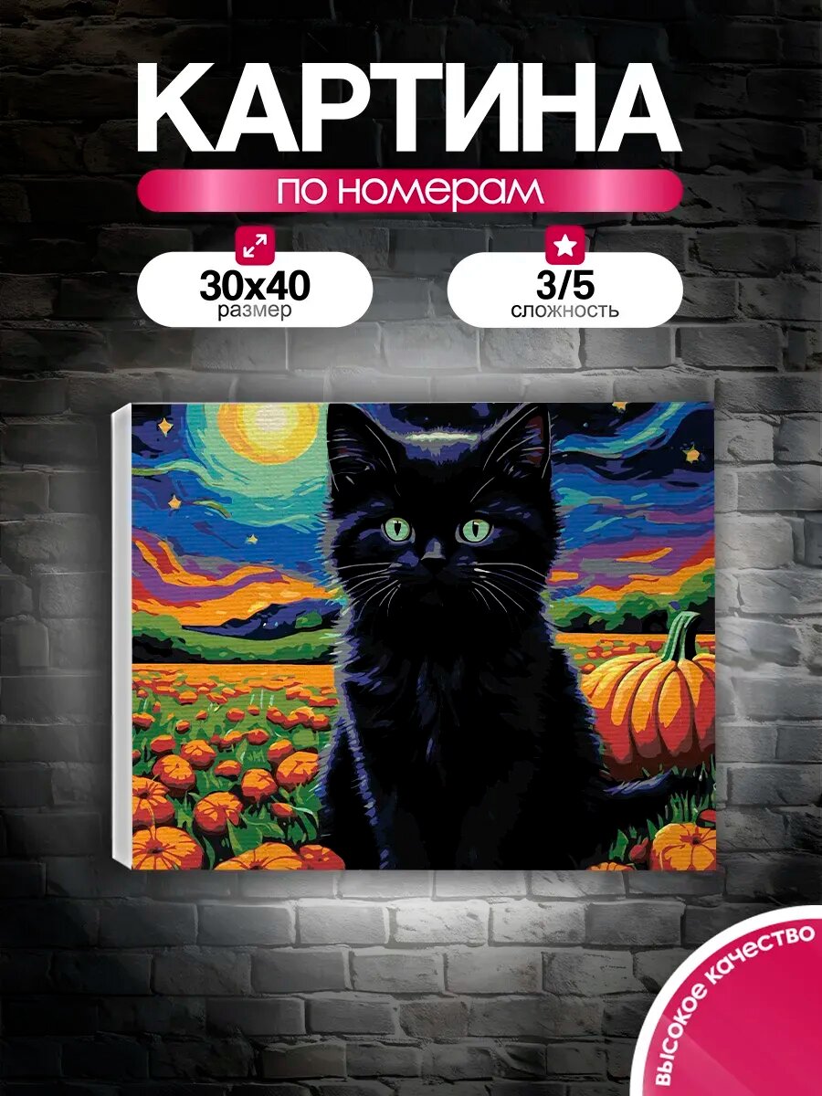 Картина по номерам 30x40 Лунный кот и тыквы